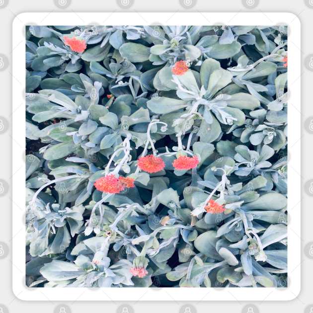 Tropical leaves & flowers Sticker by Lana